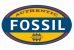Fossil1